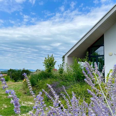 Wine & Space Lodge At Lake Balaton Балатонлелле Экстерьер фото