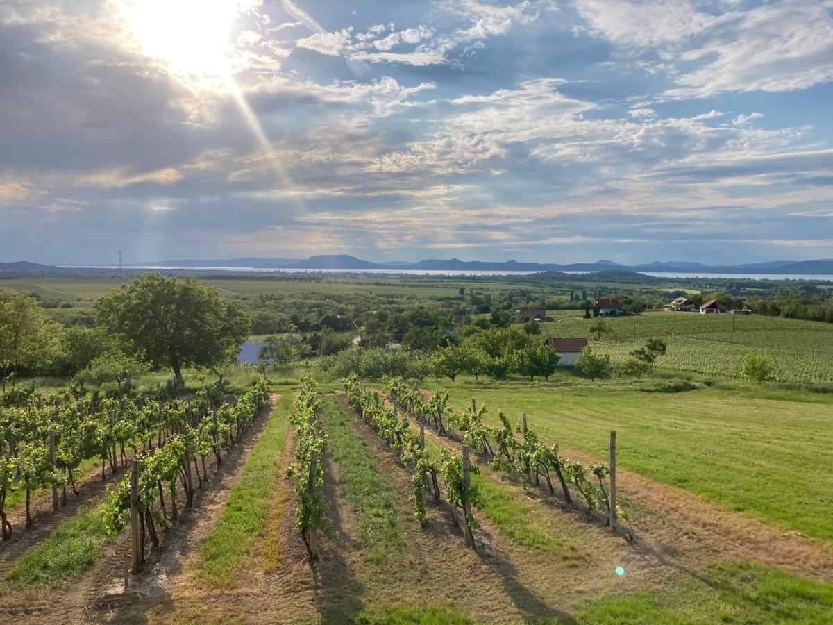 Wine & Space Lodge At Lake Balaton Балатонлелле Экстерьер фото